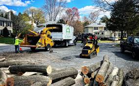 Best Seasonal Cleanup (Spring/Fall)  in Lyman, WY